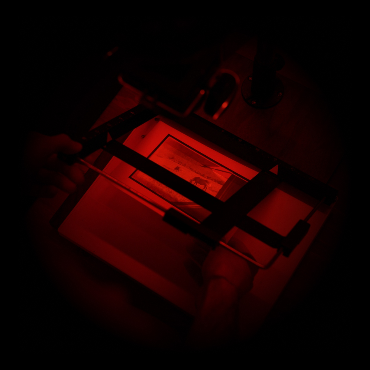 Case Studies that Inspire